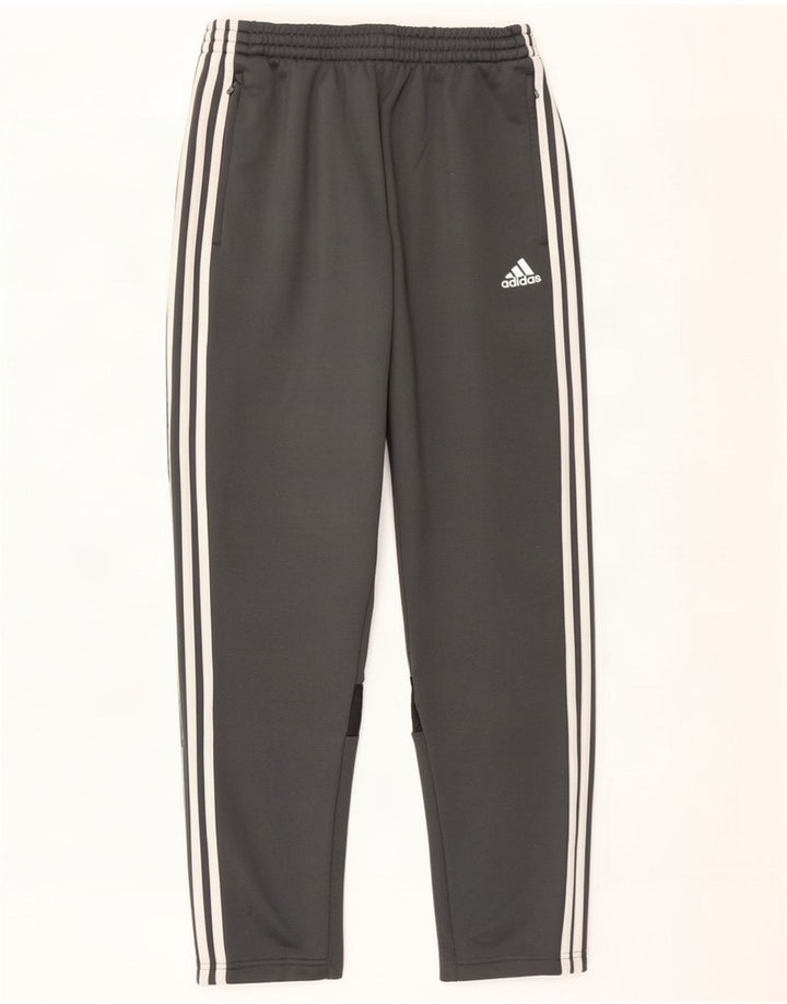 Adidas Træningsdragtsbukser til mænd mellemgrå polyester