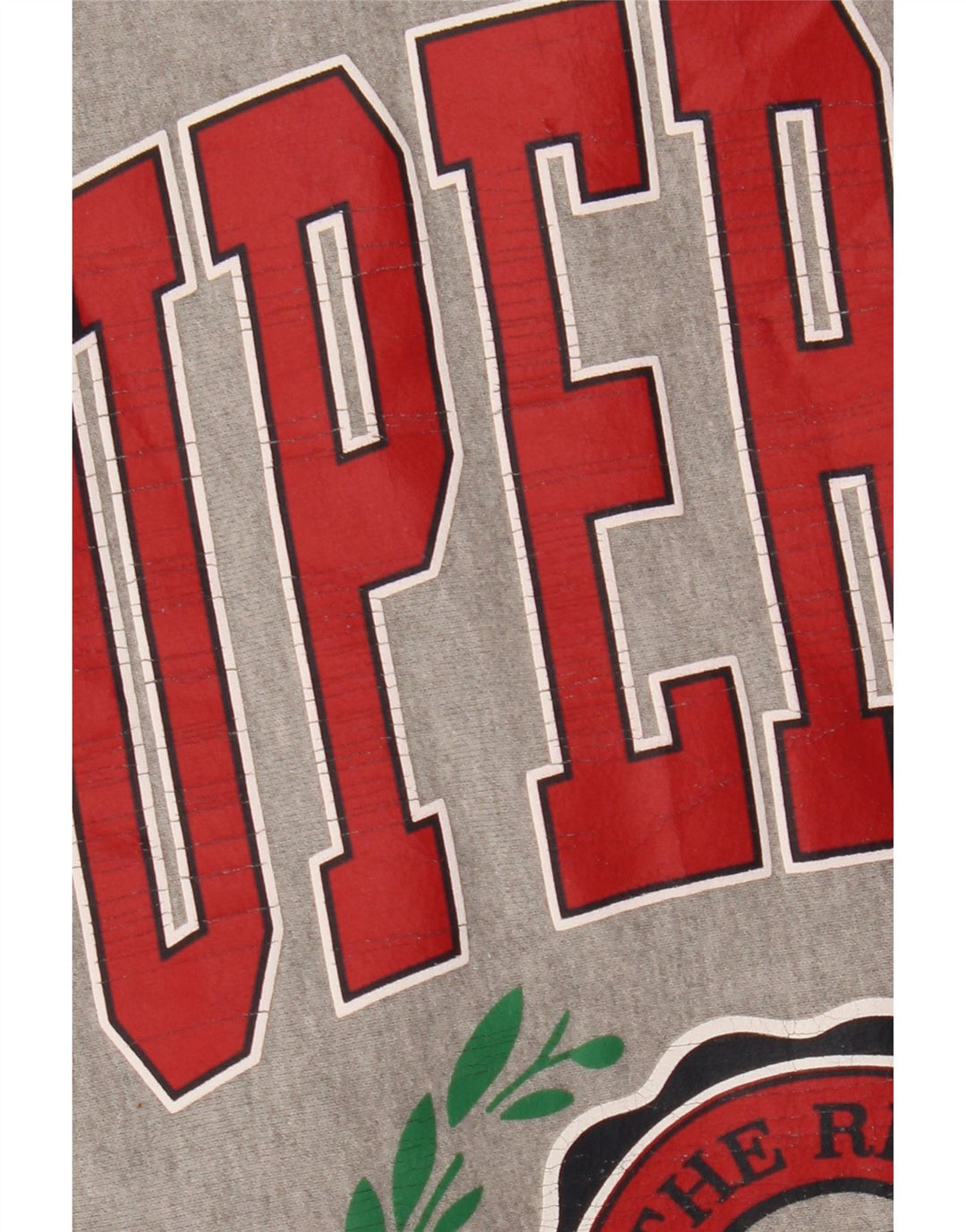 SUPERDRY Dame grafisk sweatshirt Jumper UK 8 Small Grey Colourblock