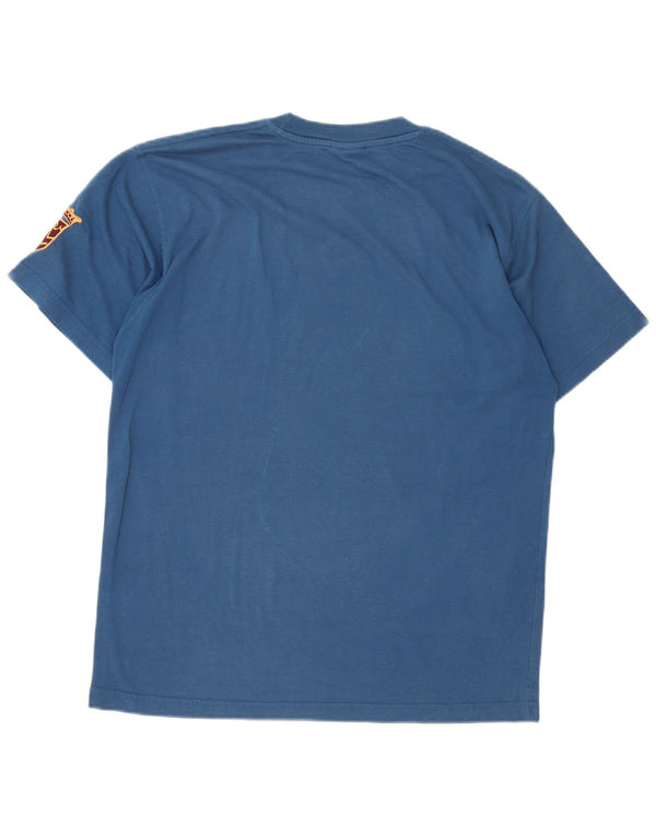 Puma Herre grafisk T-shirt Top Medium Blue