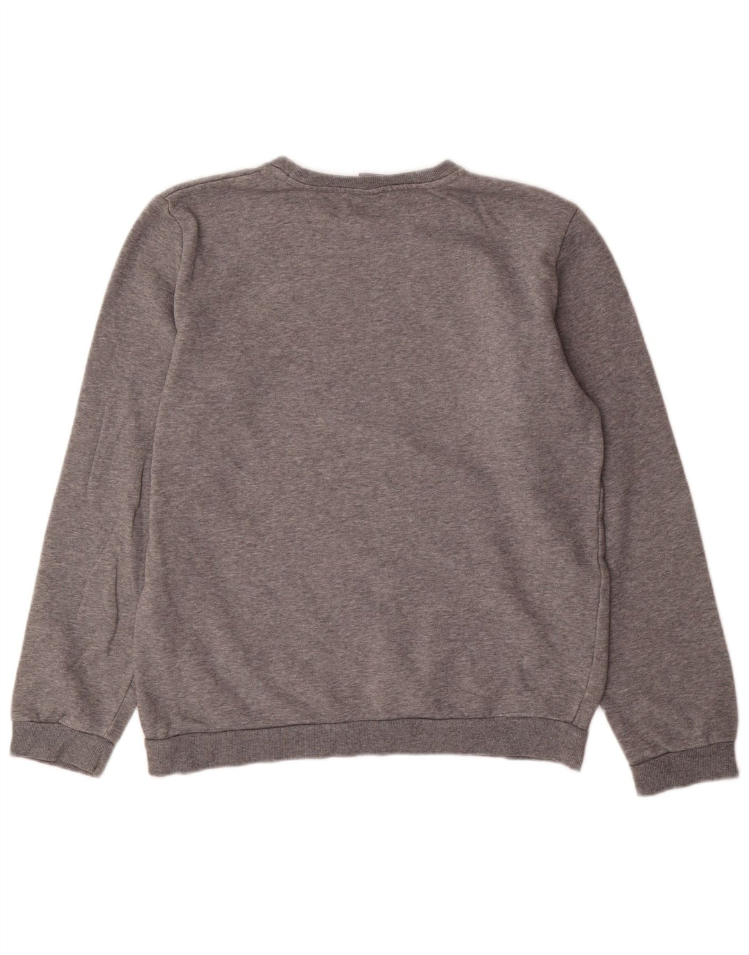 PUMA Graphic Sweatshirt Jumper til drenge 15-16 år Grå bomuld