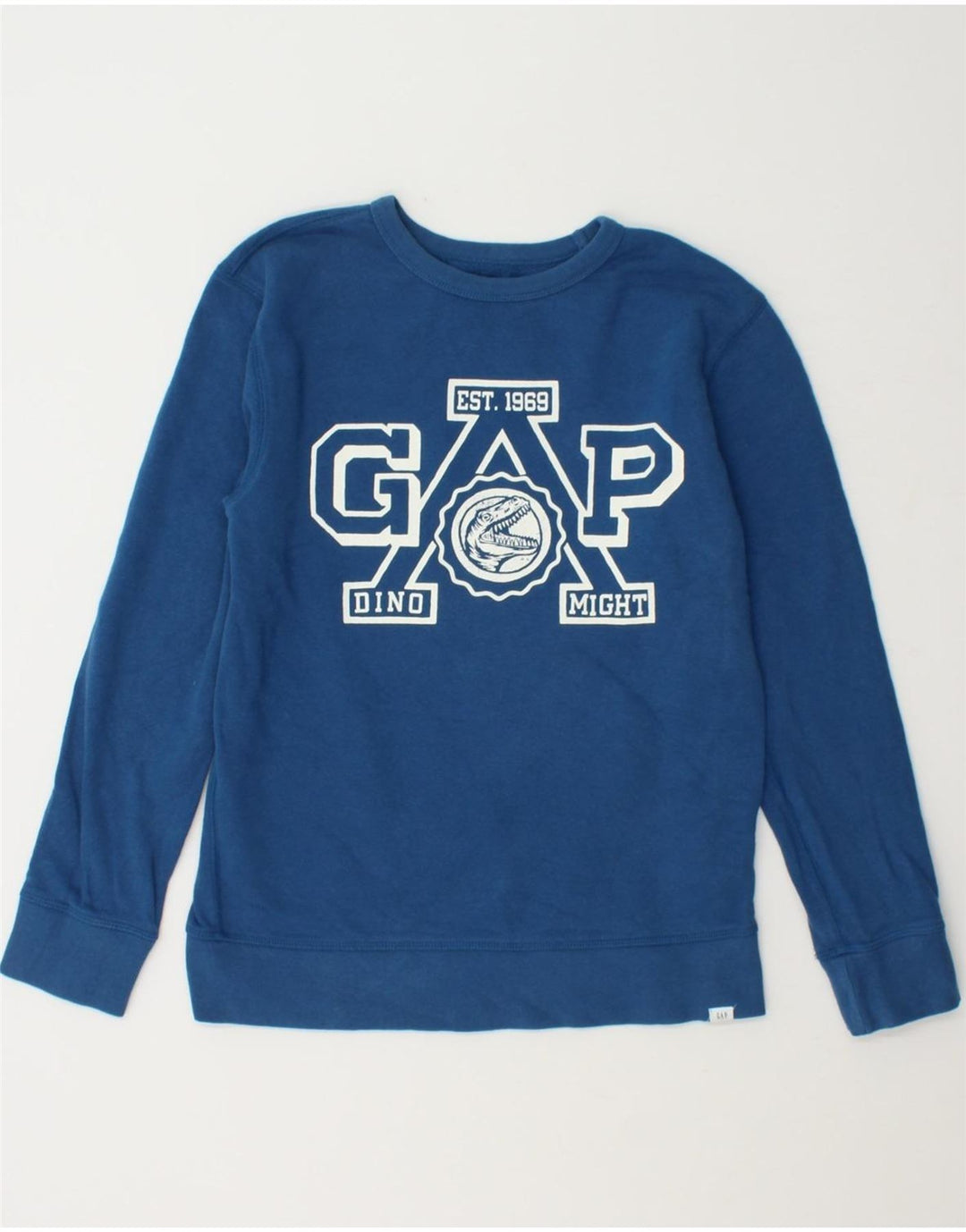 GAP Boys Graphic Sweatshirt Jumper 14-15 Years 2XL Blue Cotton Vintage Gap and Second-Hand Gap from Messina Hembry 