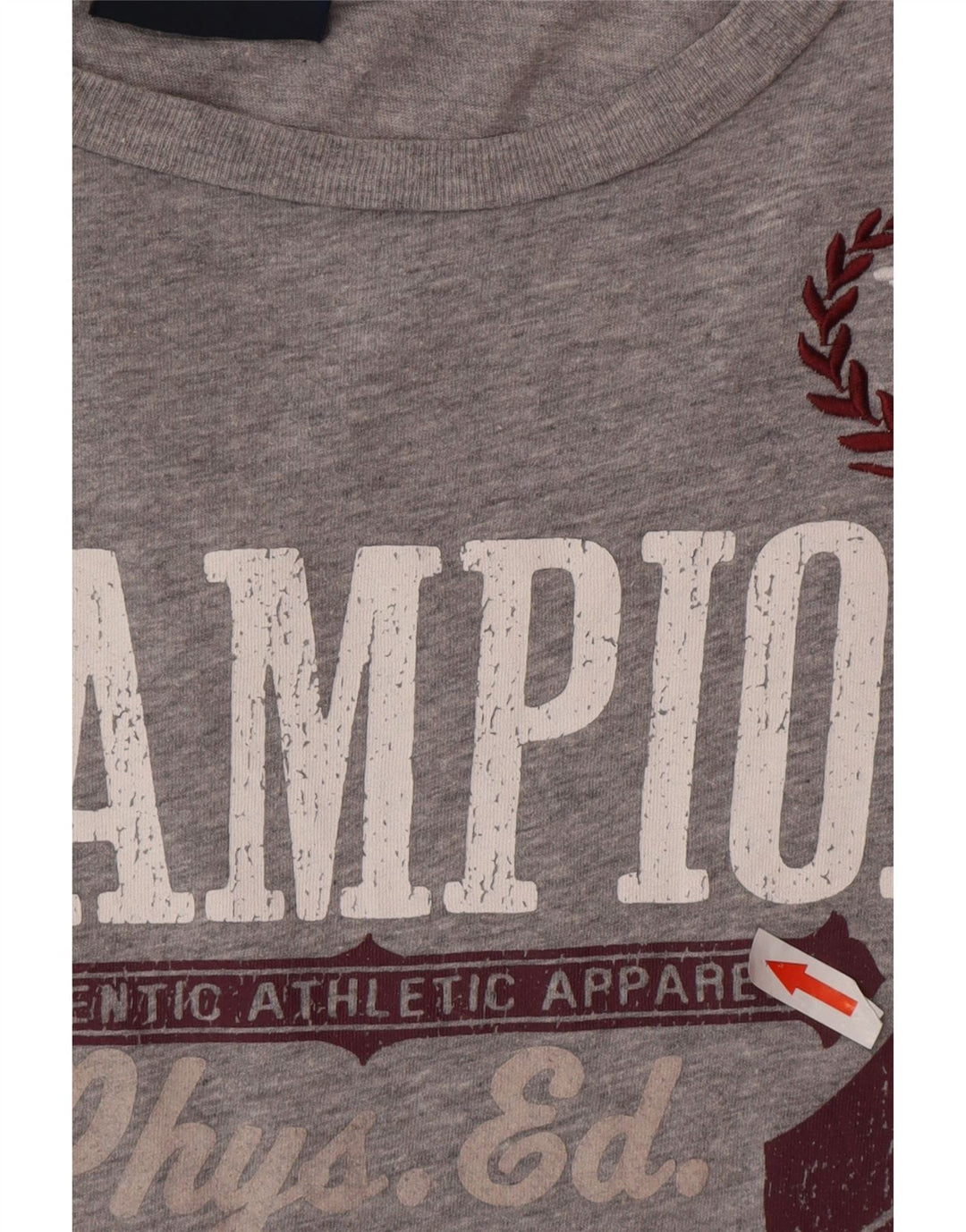 Champion Herre Rochester Grafisk T-Shirt Top Stor Grå Bomuld
