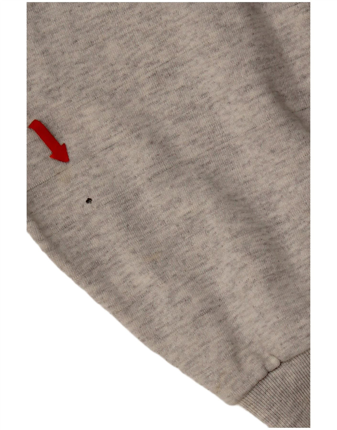 Champion Herre grafisk hættetrøje Jumper XL Grå