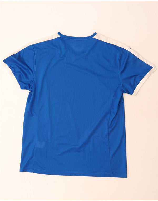 Puma Herre T-Shirt Top XL Blå Colourblock Polyester