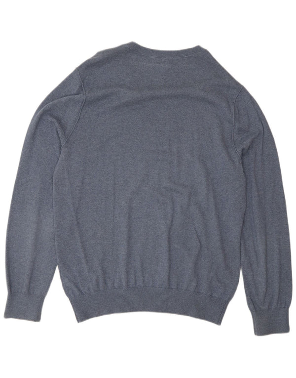 Banana Republic Herre V-hals sweater Medium Blue Bomuld