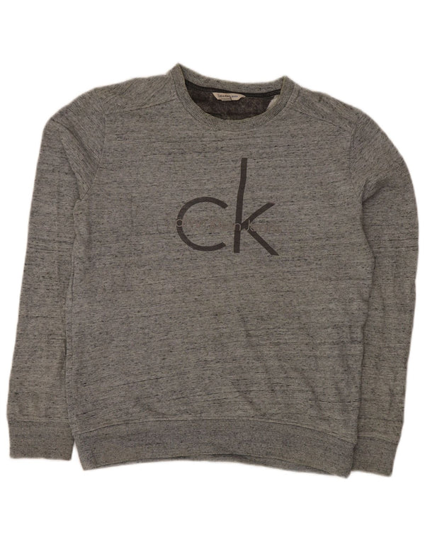 CALVIN KLEIN JEANS Grafisk sweatshirt til mænd, lille grå flækket
