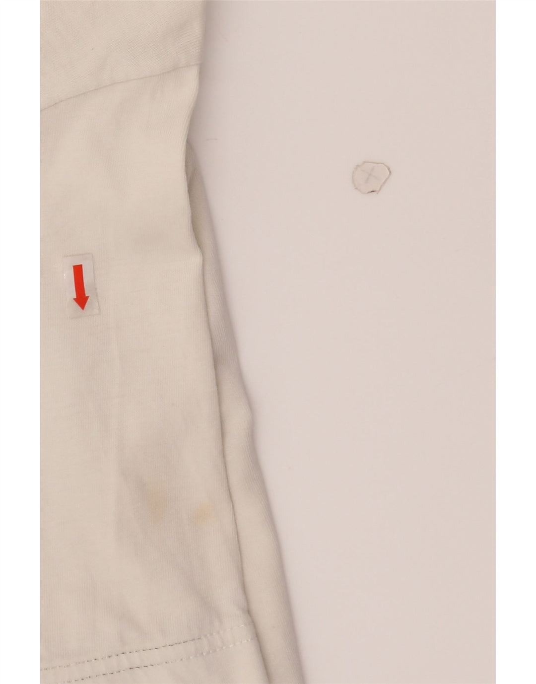 CHAMPION Mens Graphic T-Shirt Top Large White Cotton Vintage Champion and Second-Hand Champion from Messina Hembry 