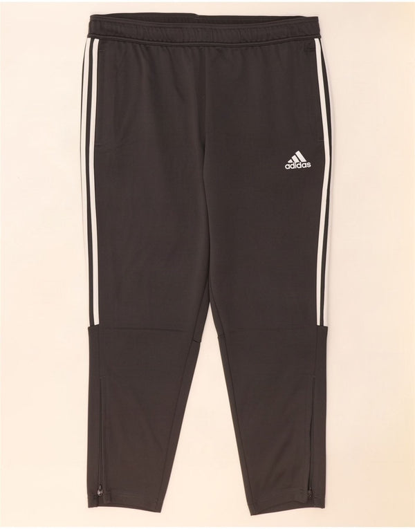 Adidas Træningsdragtsbukser til mænd 2XL Grå Polyester