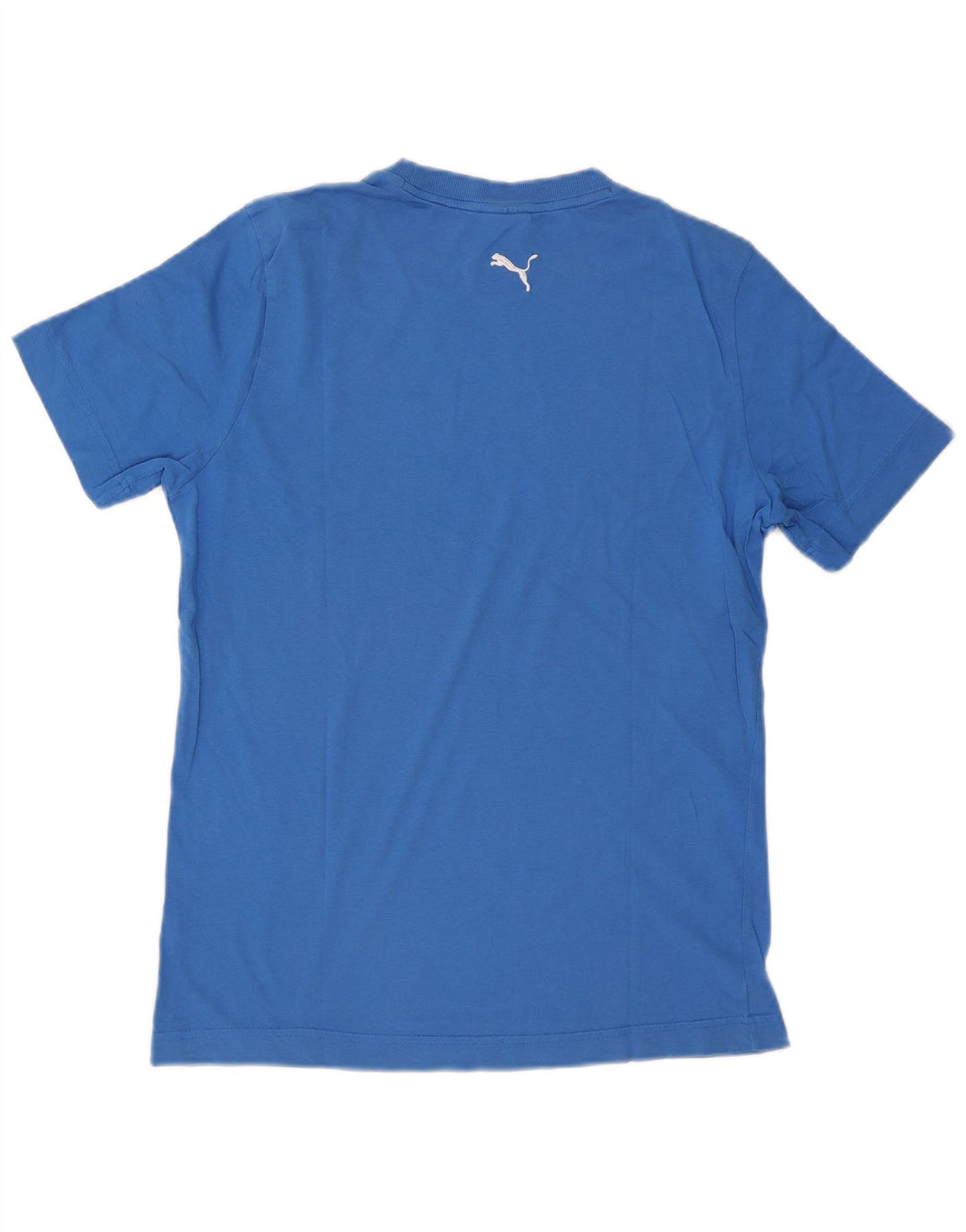 Puma Herre Grafisk T-Shirt Top Medium Blue
