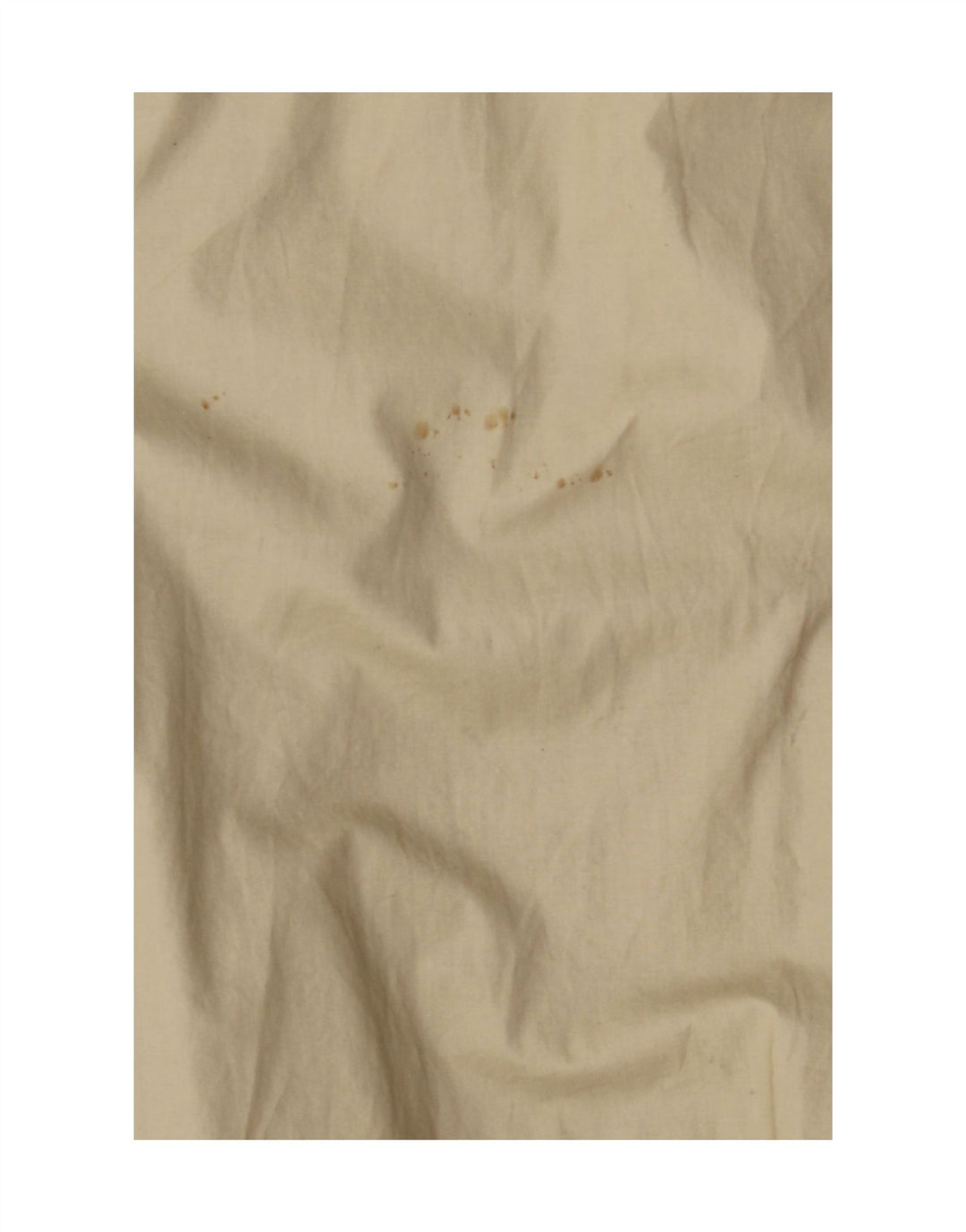 COAST Mens Anorak Jacket UK 42 XL Beige Cotton Vintage Coast and Second-Hand Coast from Messina Hembry 