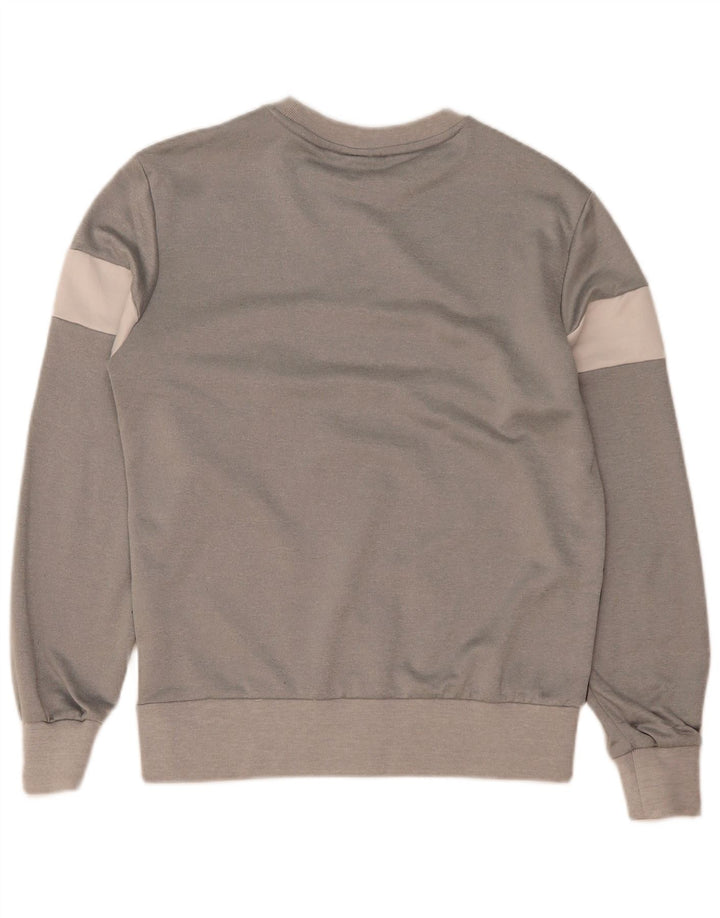 Ellesse Herre Grafisk Sweatshirt Jumper Medium Grå Colourblock Polyester