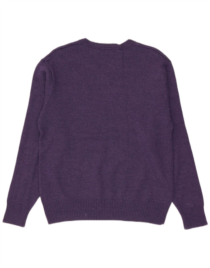 NAUTICA Herre V-hals sweater Medium Lilla Merinould