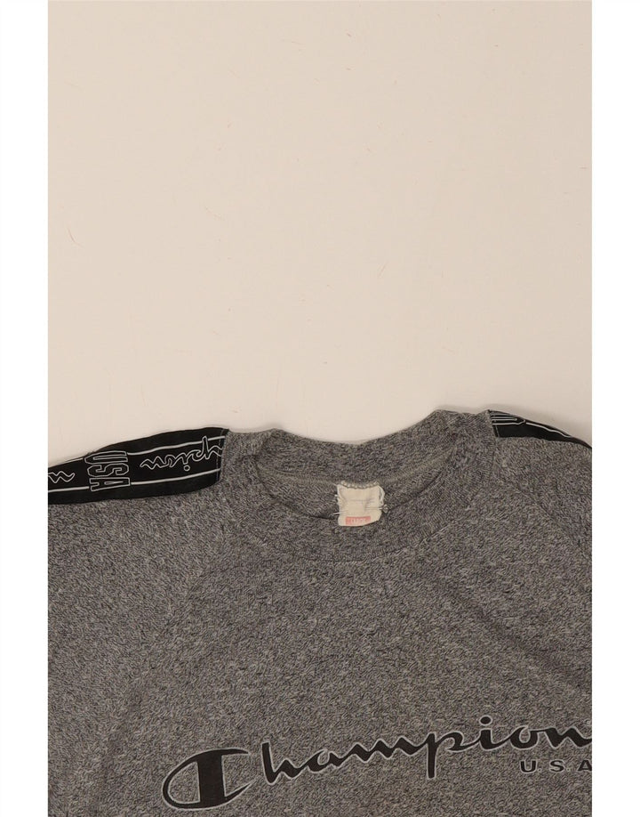 CHAMPION Mens Graphic T-Shirt Top Large Grey Colourblock Vintage Champion and Second-Hand Champion from Messina Hembry 
