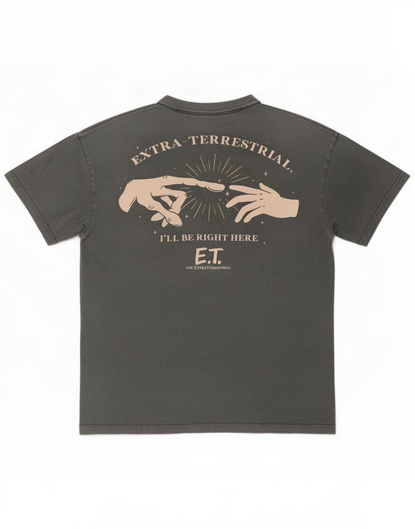 Pull & Bear Herre grafisk T-shirt top lille grå bomuld