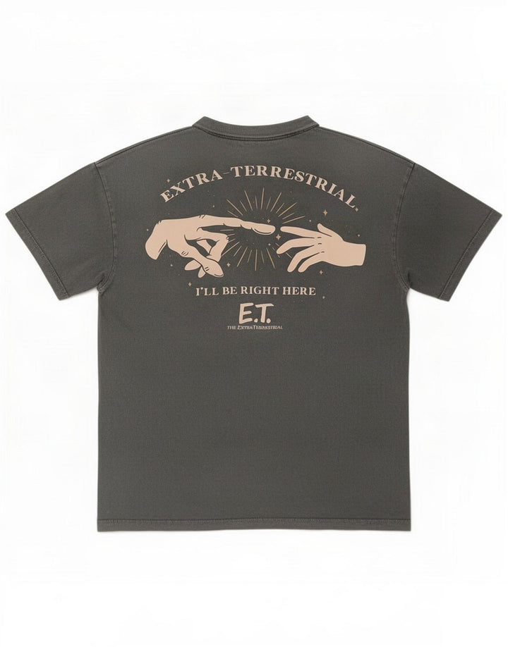 Pull & Bear Herre grafisk T-shirt top lille grå bomuld
