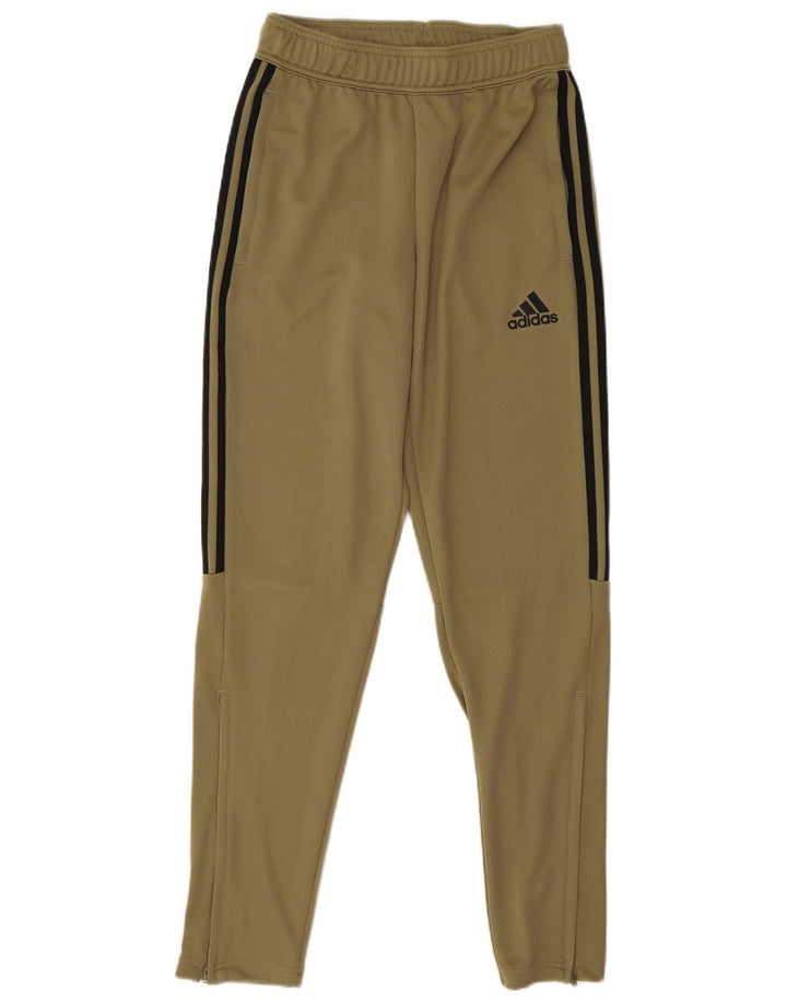 Adidas Træningsdragtsbukser til mænd Small Khaki Polyester