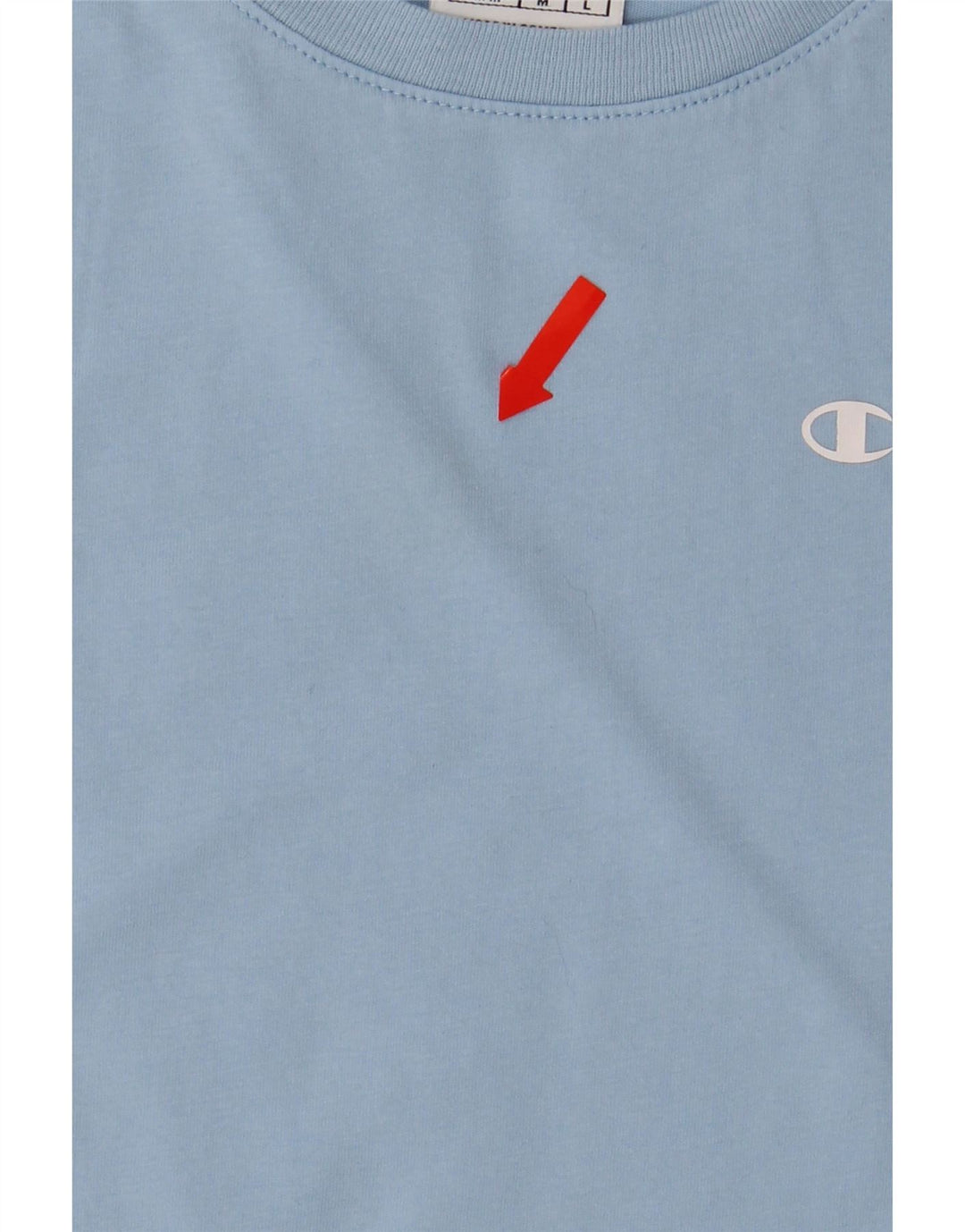 CHAMPION Womens T-Shirt Top UK 12 Medium Blue Cotton Vintage Champion and Second-Hand Champion from Messina Hembry 