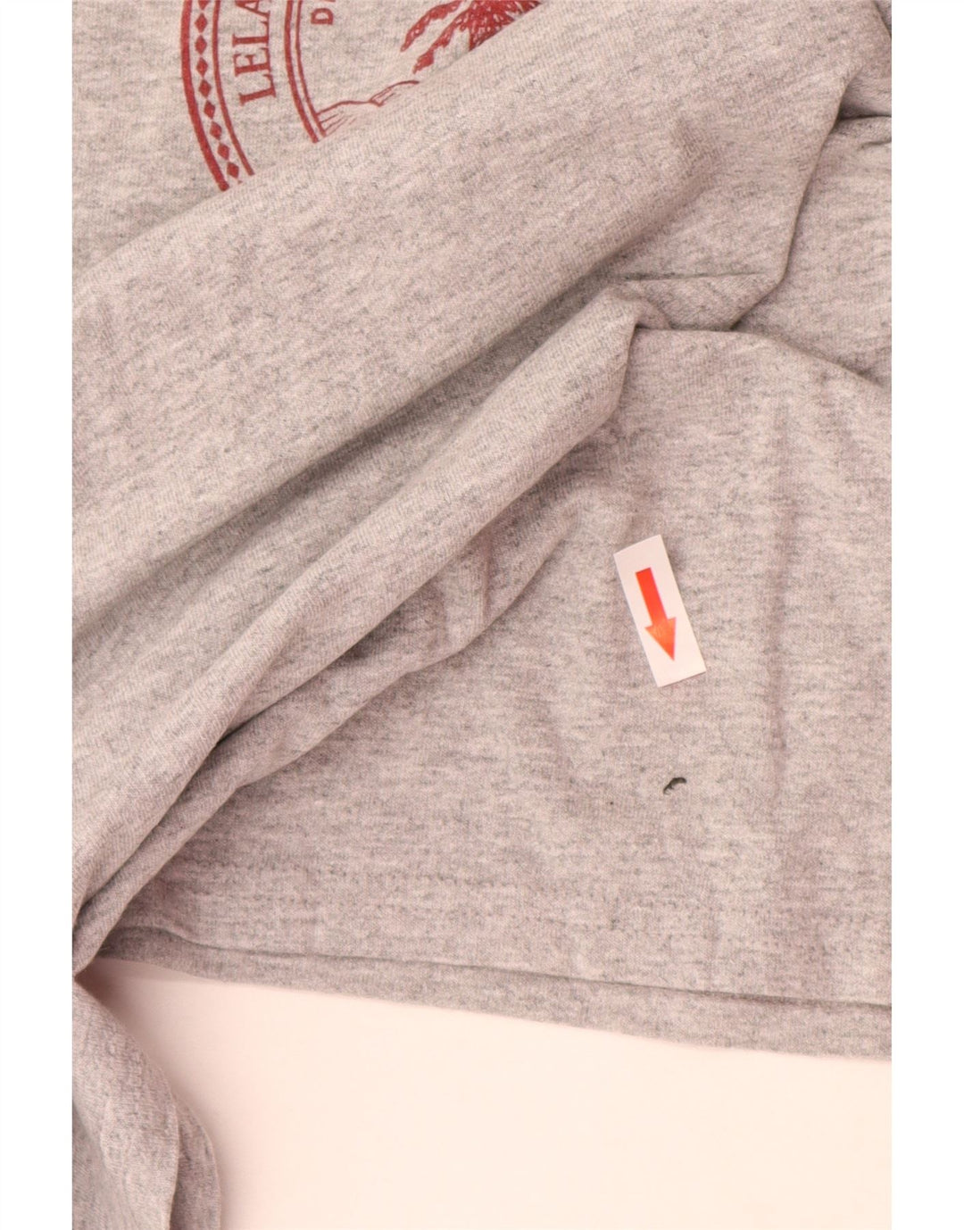 Champion Herre Stanford University grafisk T-shirt top mellemgrå bomuld