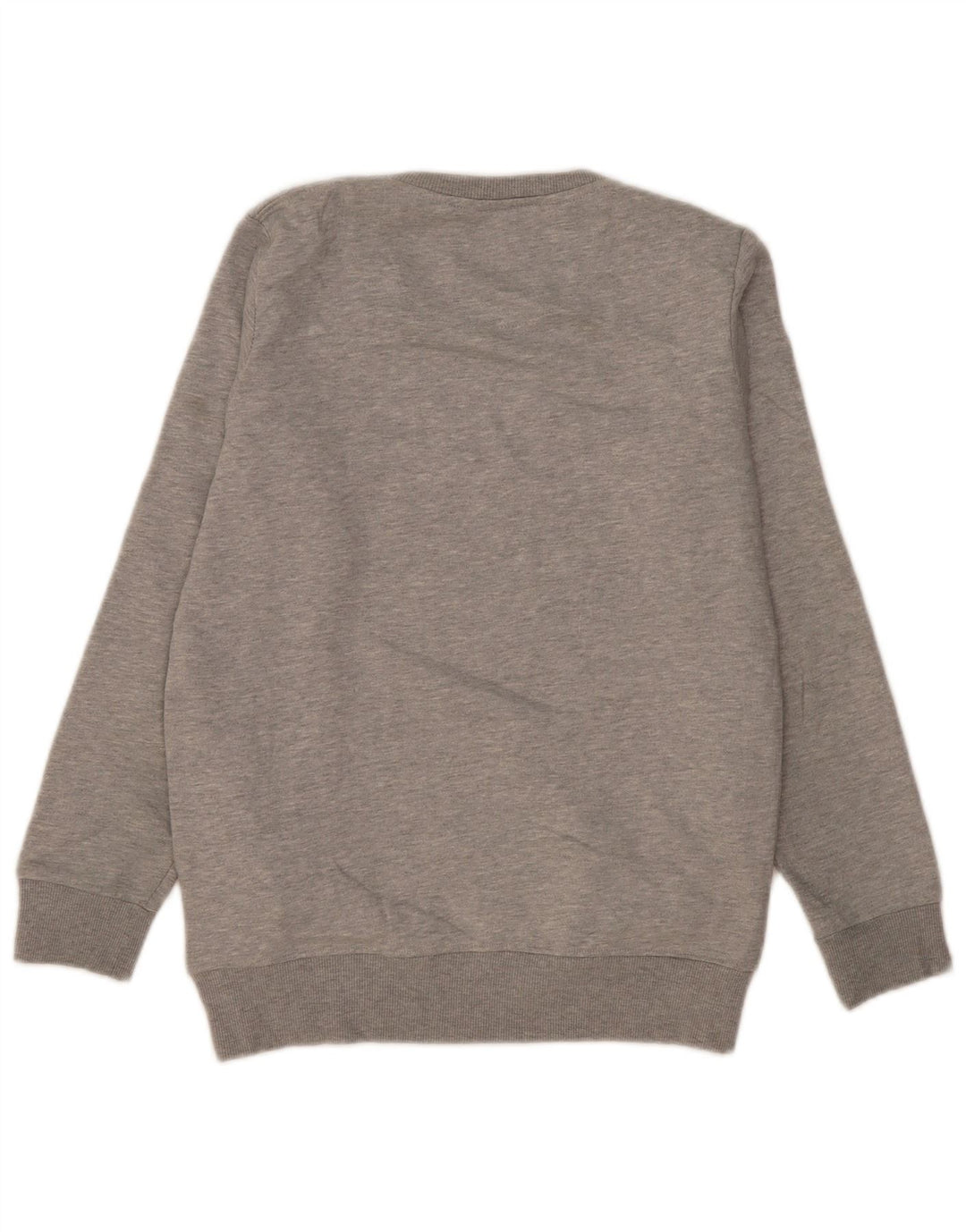 Champion Herre Grafisk Sweatshirt Jumper Medium Grå