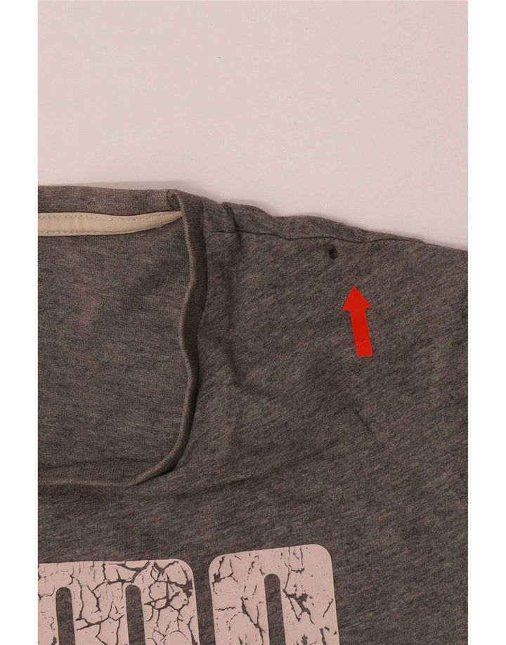 Puma Herre Grafisk T-Shirt Top Lille Grå Bomuld
