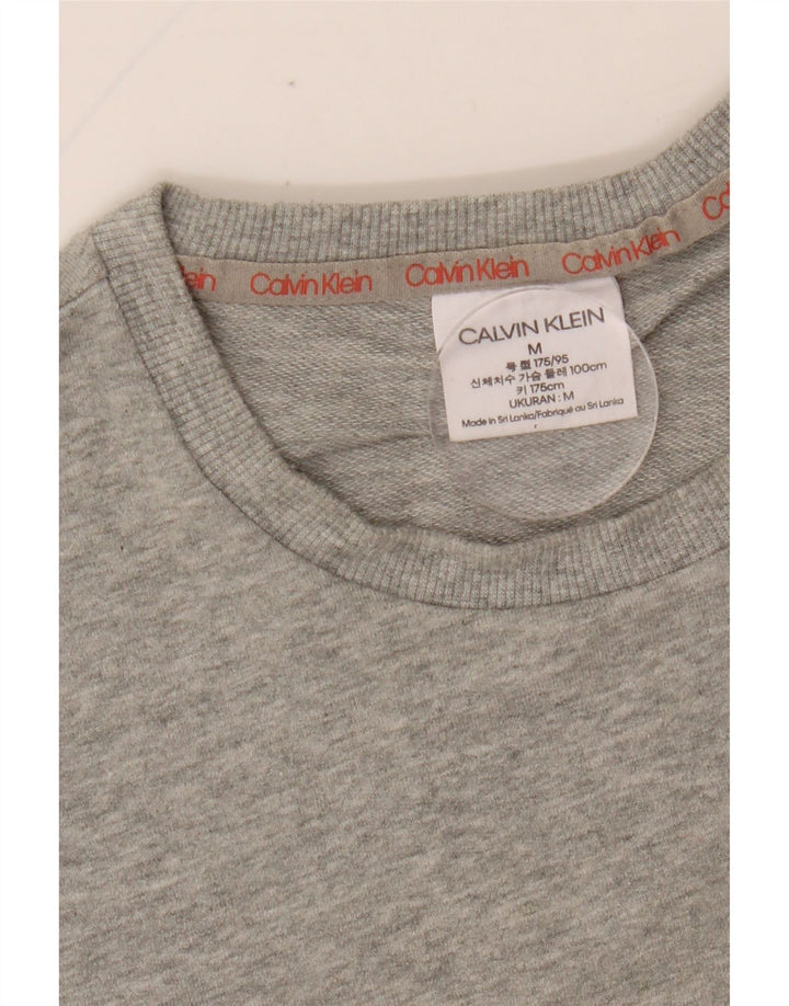 CALVIN KLEIN Herre Grafisk Sweatshirt Jumper Medium Grå