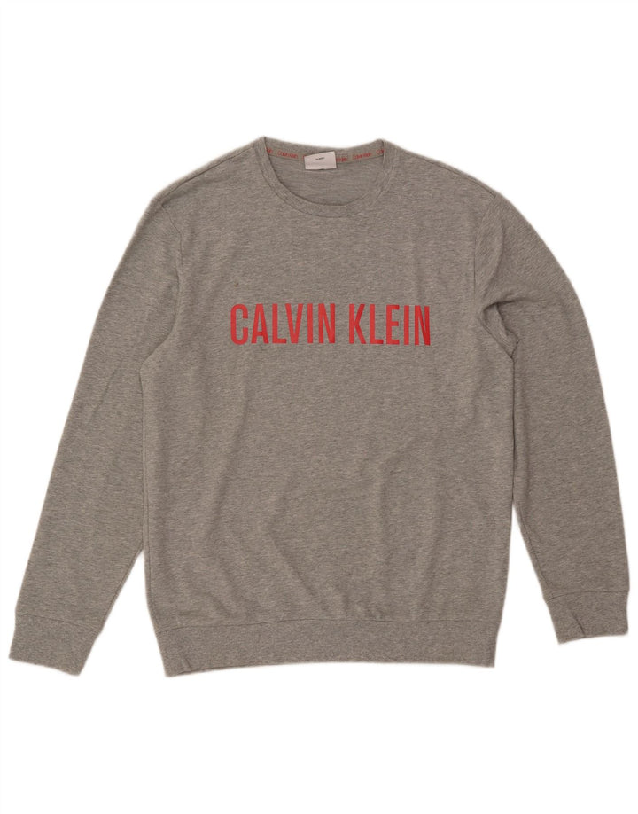 CALVIN KLEIN Herre Grafisk Sweatshirt Jumper Medium Grå