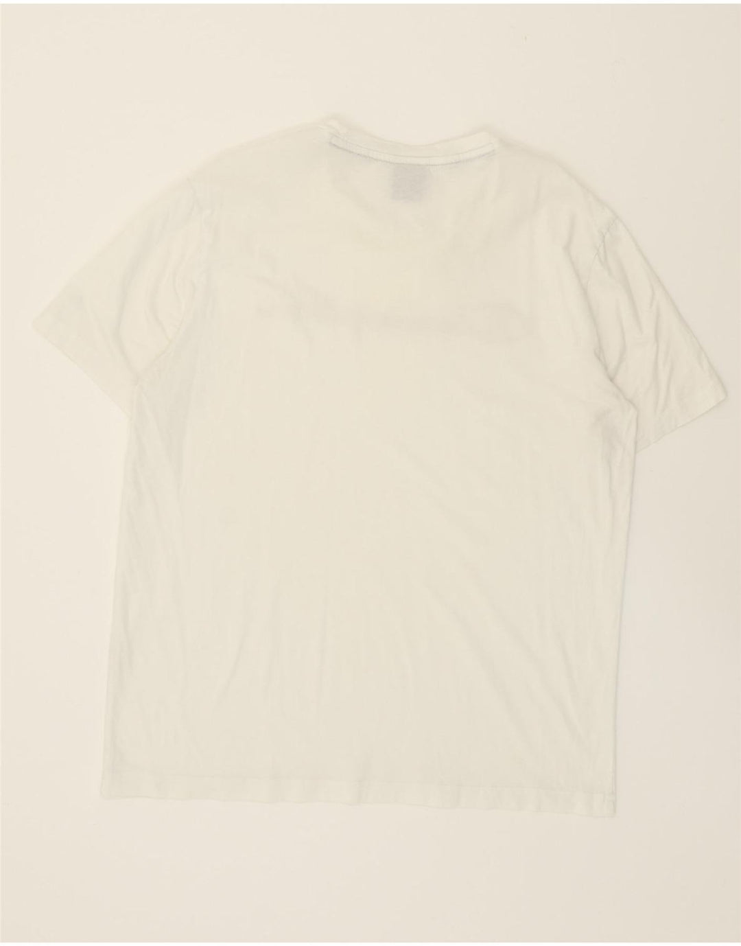 CHAMPION Mens Graphic T-Shirt Top Large White Vintage Champion and Second-Hand Champion from Messina Hembry 