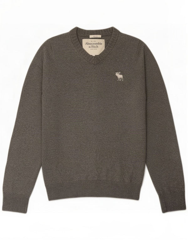 Abercrombie & Fitch Herre Muscle V-hals sweater Medium Grå Bomuld