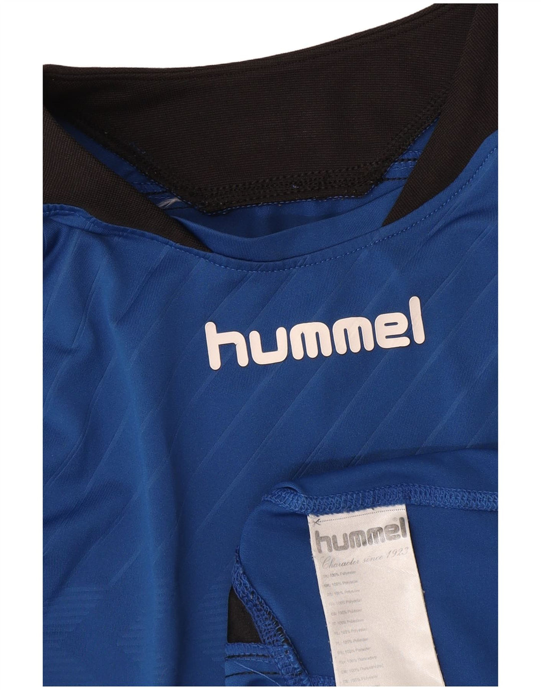 Hummel Herre Grafisk Top Langærmet Medium Blue Polyester Sports
