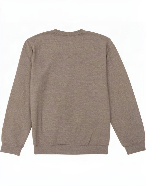 Champion Drenge Grafisk Sweatshirt Jumper 11-12 år Large Grey Flecked