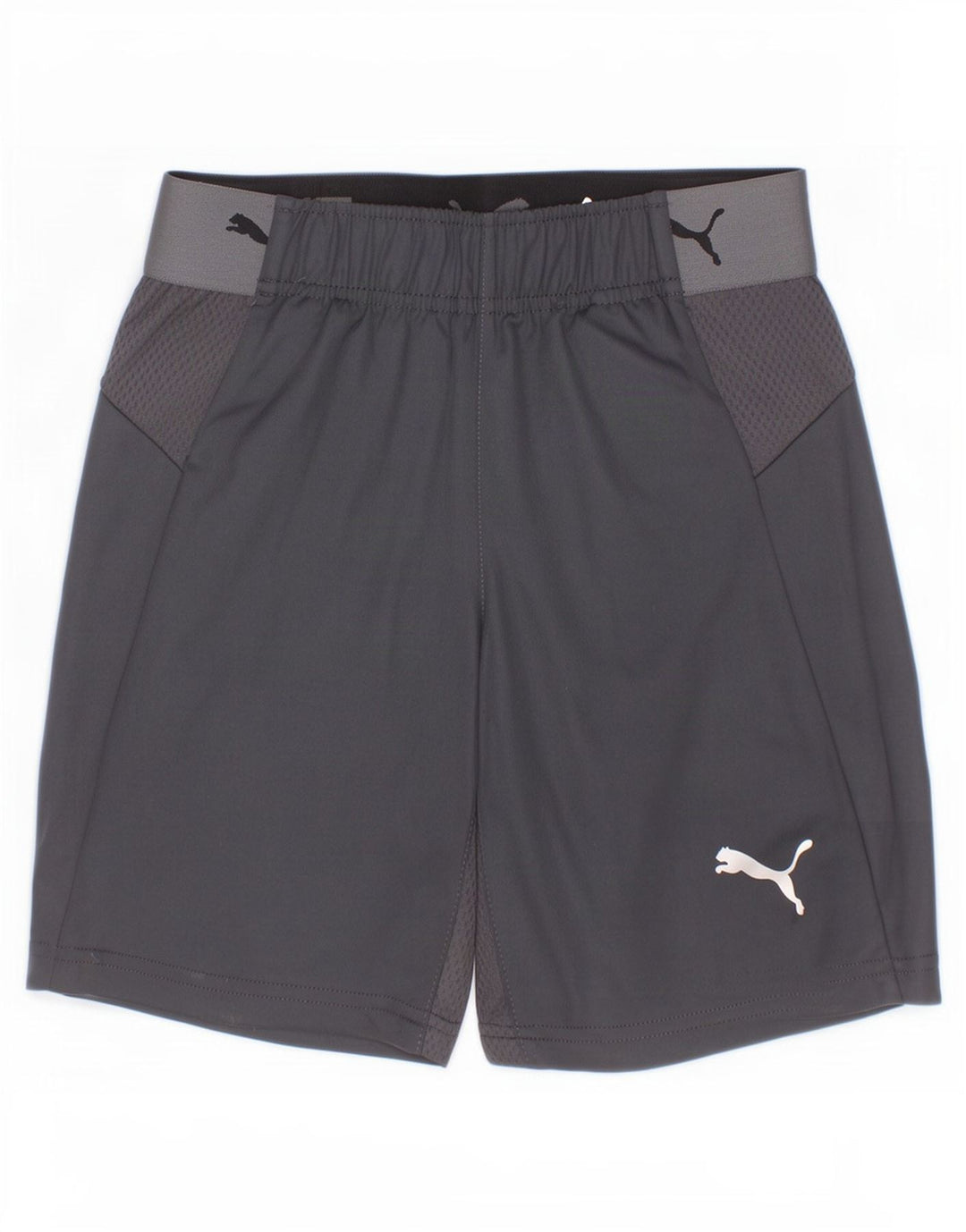 Puma drenge grafiske sportsshorts 9-10 år grå polyester