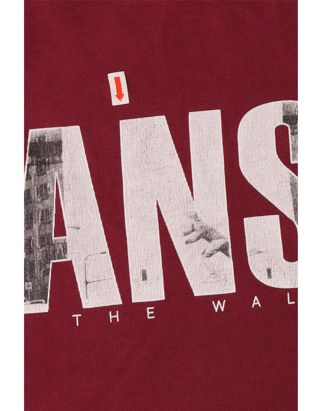 VANS Mens Classic Fit Graphic T-Shirt Top Medium Maroon Cotton