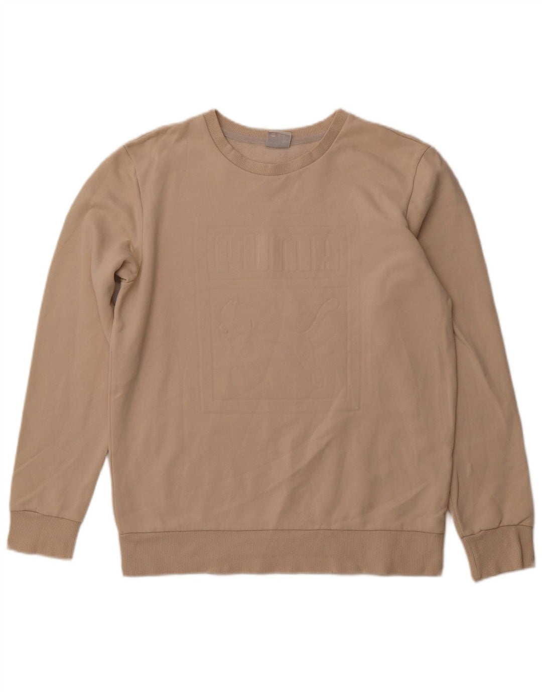 PUMA Grafisk sweatshirt til mænd Medium Beige Bomuld