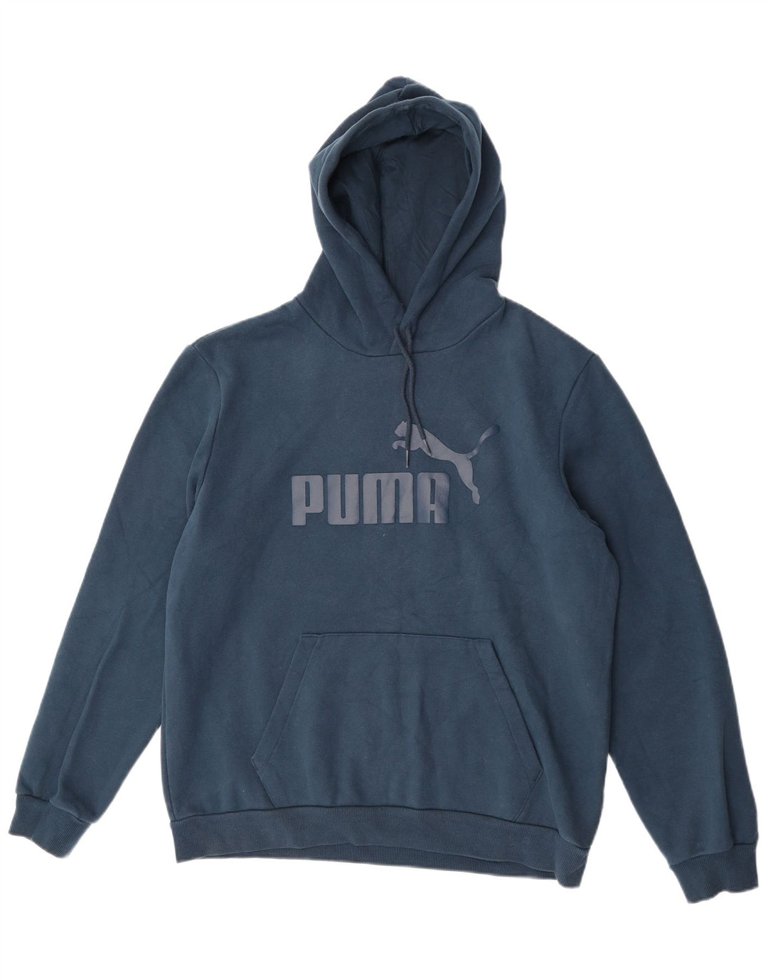 Puma Grafisk hættetrøje til mænd, stor blå bomuld