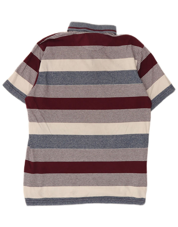 Pierre Cardin Herre poloshirt Medium flerfarvet stribet bomuld