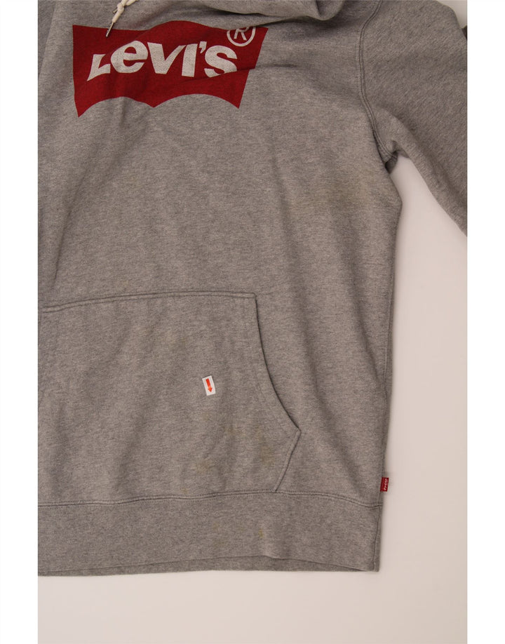 LEVI'S Mens Graphic Hoodie Jumper Medium Grey Cotton Vintage Levi's and Second-Hand Levi's from Messina Hembry 