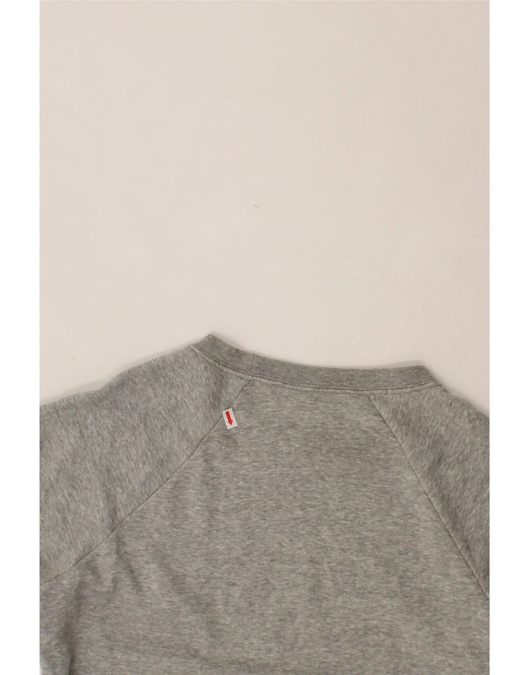 NIKE Mens Graphic Sweatshirt Jumper Small Grey Cotton Vintage Nike and Second-Hand Nike from Messina Hembry 