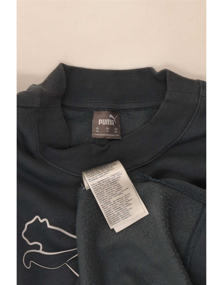 Puma Herre Grafisk Sweatshirt Jumper XS Grå Bomuld