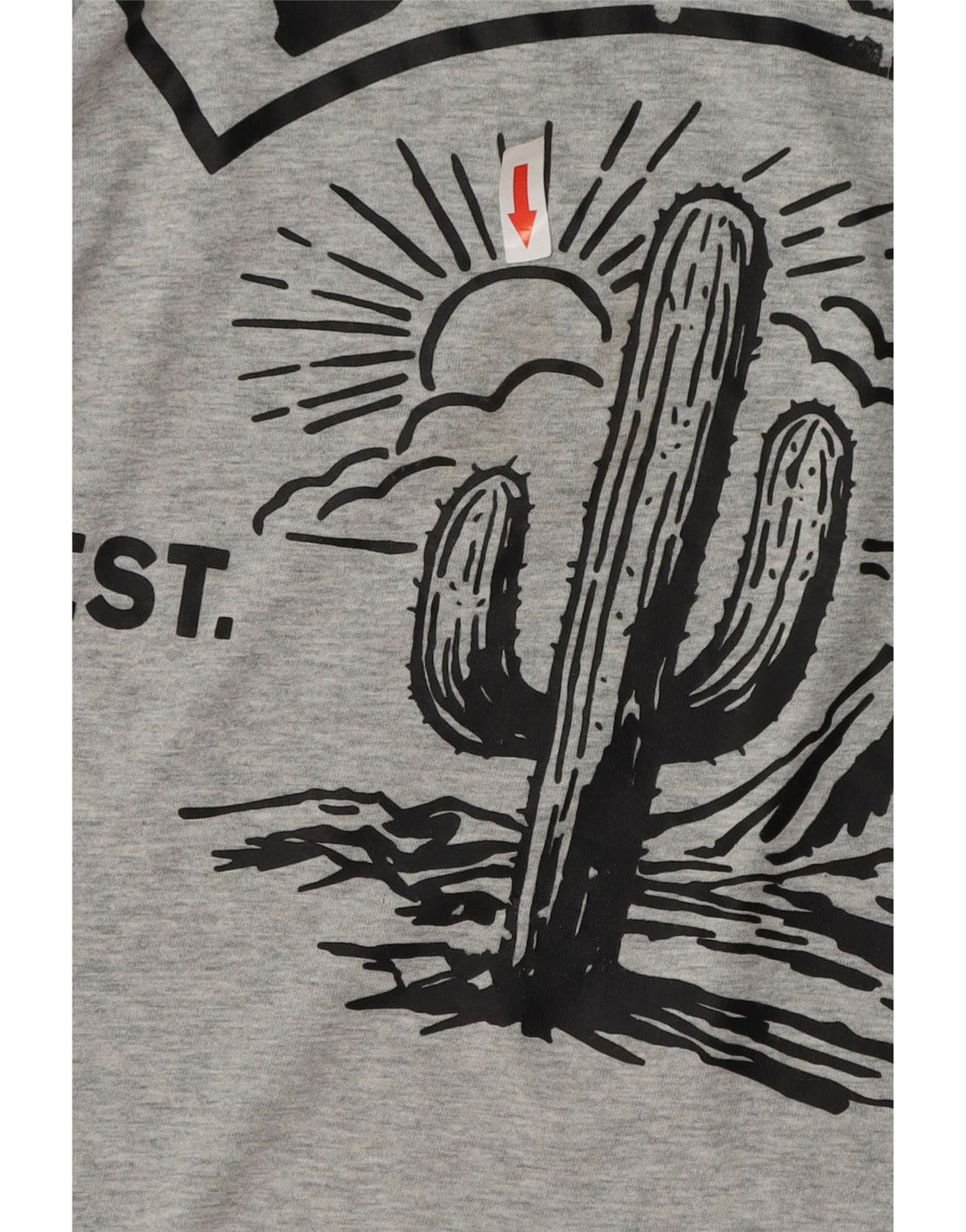 DIESEL Herre Grafisk T-Shirt Top XL Grå Bomuld