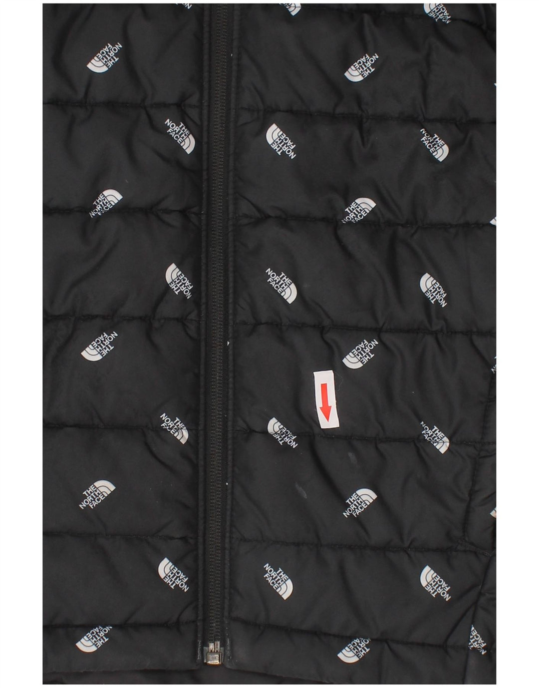 The North Face Boys Grafisk, hættepolstret jakke 9-10 år Medium Sort