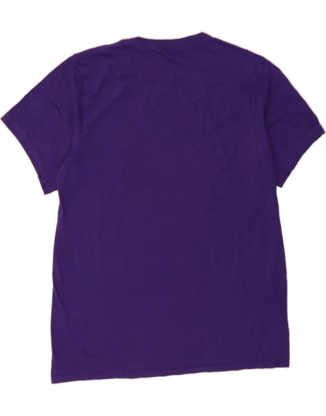 RUSSELL ATHLETIC Mens T-Shirt Top Large Purple Cotton Vintage Russell Athletic and Second-Hand Russell Athletic from Messina Hembry 