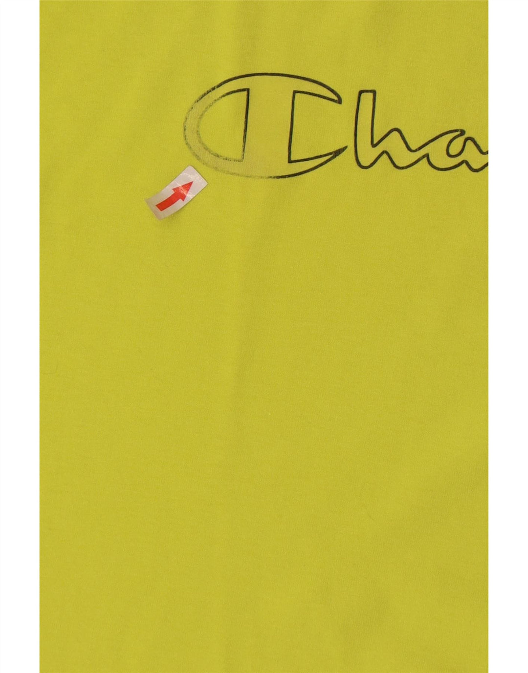 Champion Herre grafisk T-shirt Top mellemgrøn bomuld