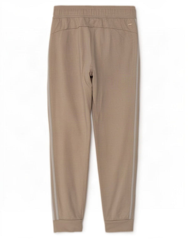 Adidas Træningsdragt til mænd Joggers Små Beige Bomuld