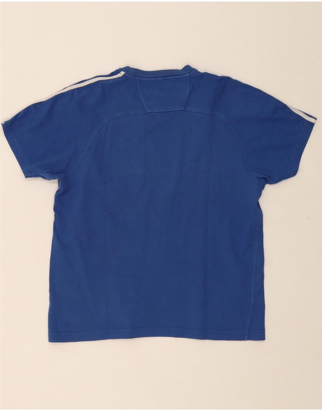 CHAMPION Mens Graphic T-Shirt Top Medium Blue Cotton Vintage Champion and Second-Hand Champion from Messina Hembry 