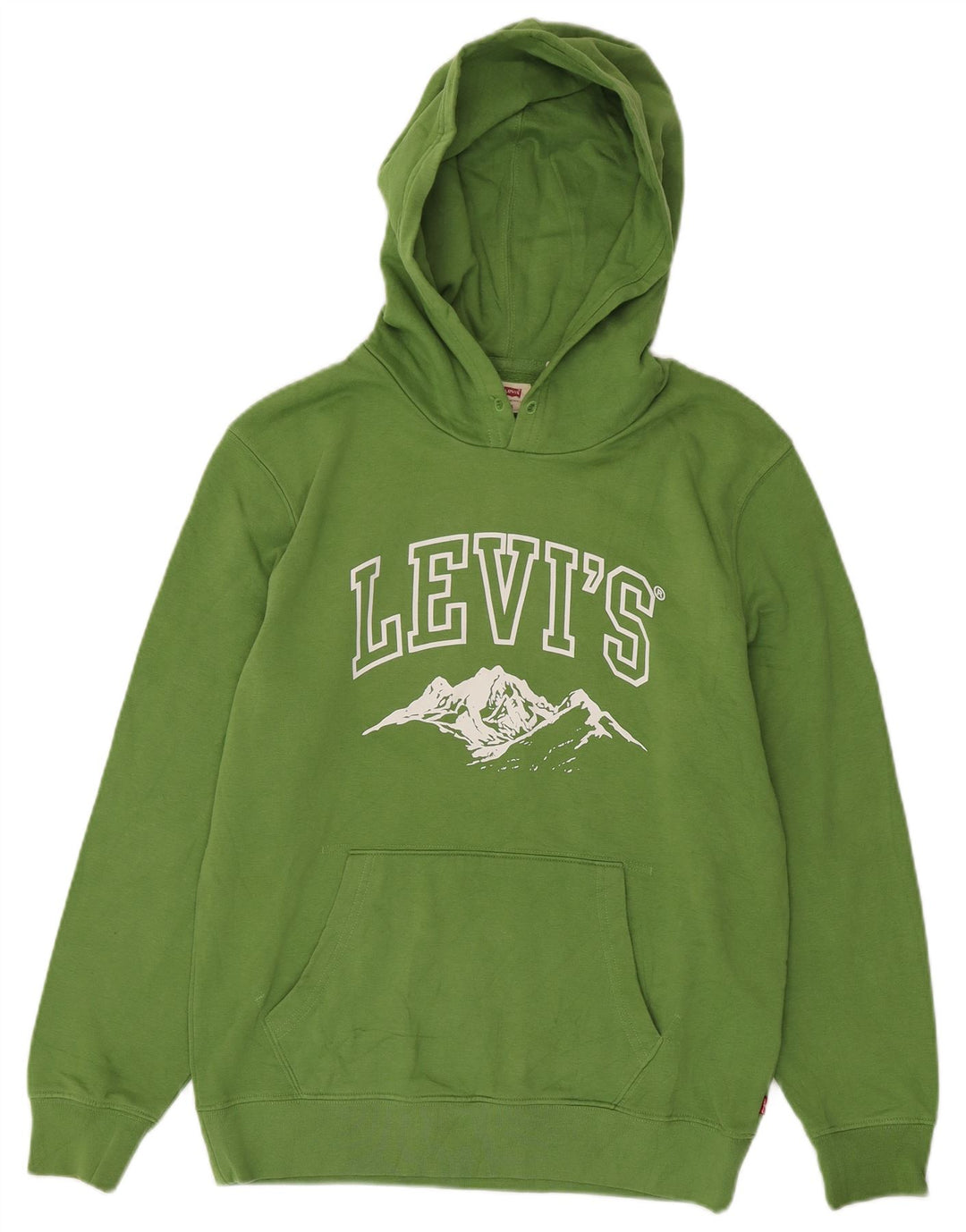 Levi's Standard grafisk hættetrøje til mænd, lille grøn bomuld