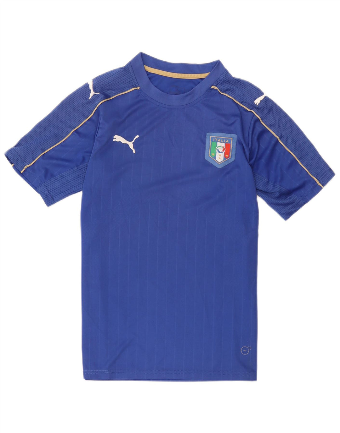 Puma Herre Italia Grafisk T-Shirt Top Medium Blå Polyester