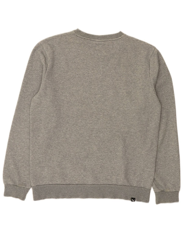 Puma Herre grafisk sweatshirt Jumper Medium Grey Flecked Bomuld