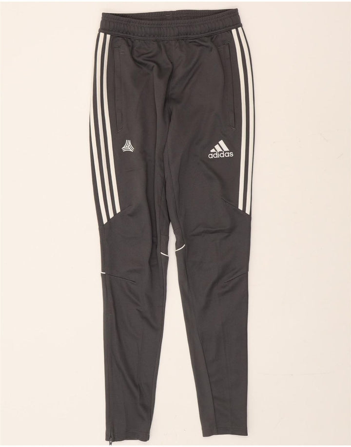 Adidas Træningsdragt bukser til mænd XS Grå polyester