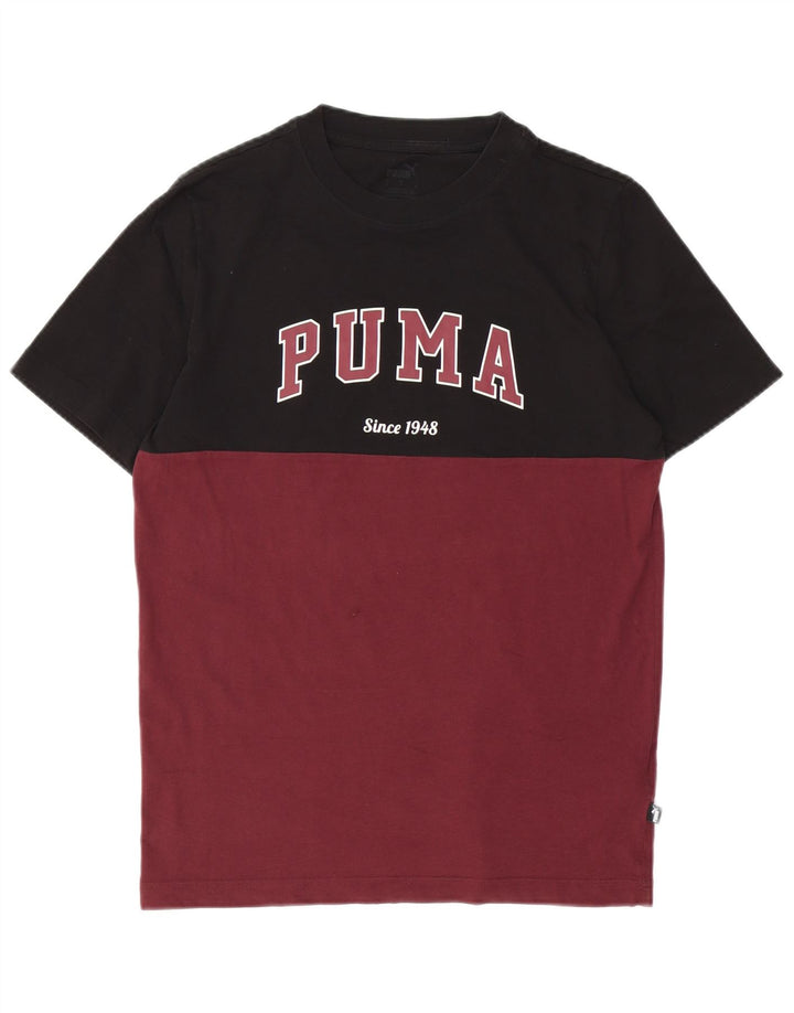 Puma Herre grafisk T-shirt Top Lille rødbrun Colourblock Bomuld