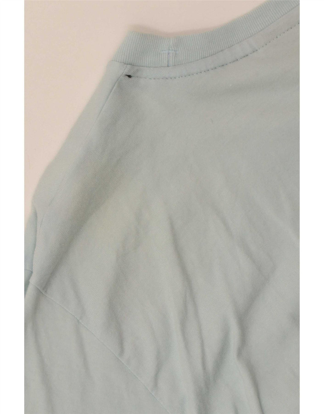 Champion Mens Graphic T-Shirt Top Large Blue